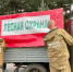 В лесах региона усилили меры безопасности из-за жаркой погоды - Газета Сусанинская новь